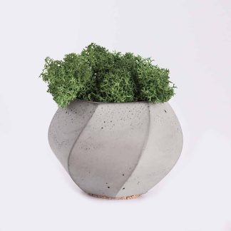 首頁 plant4 free img